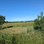 4 Star Holiday Home In Blavand 펜션